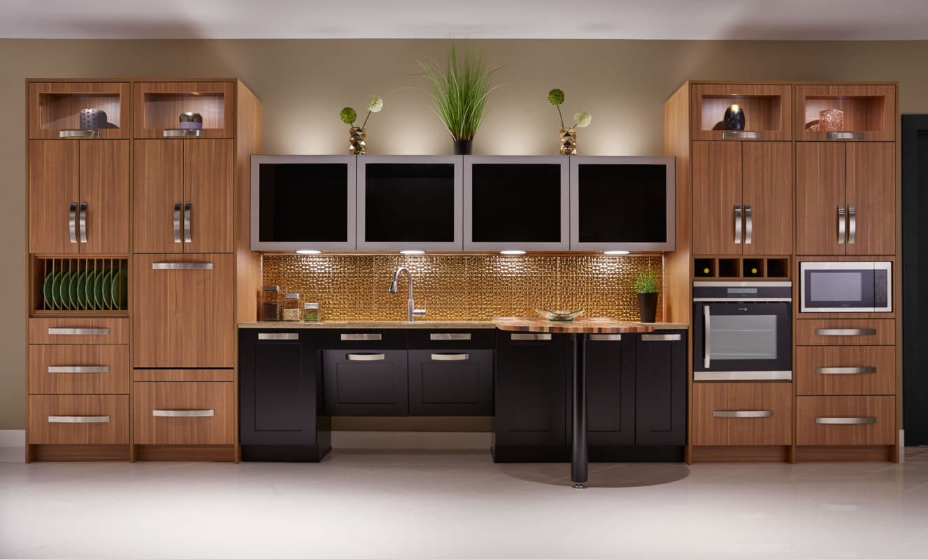 Inspired ADA Kitchen