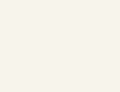 Premium Custom Paints Frosty White finish sample