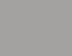 Premium Custom Paints Stone Bridge finish sample