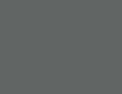 Premium Custom Paints Iron Range finish sample