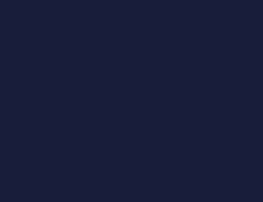 Premium Custom Paints Navy finish sample